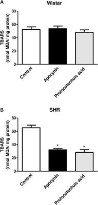 Comparative study between apocynin and protocatechuic acid regarding antioxidant capacity and vascular effects